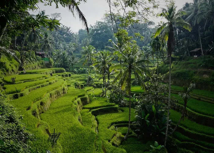 Villa Oia Ubud